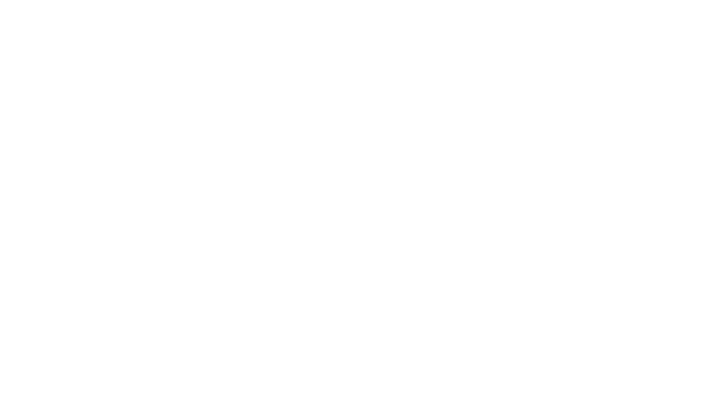 Orlando Star